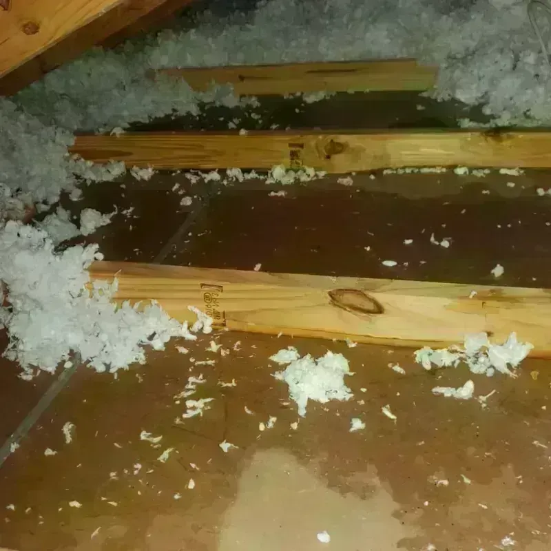 Attic Water Damage in Rutherford, PA