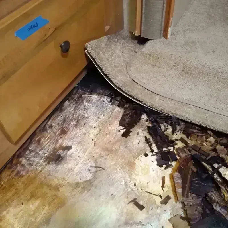 Wood Floor Water Damage in Rutherford, PA